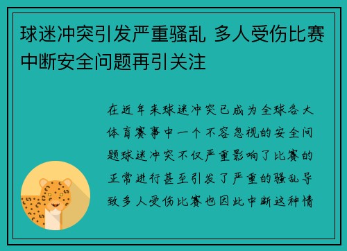球迷冲突引发严重骚乱 多人受伤比赛中断安全问题再引关注