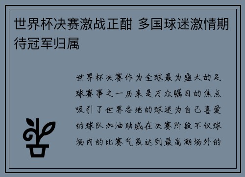 世界杯决赛激战正酣 多国球迷激情期待冠军归属