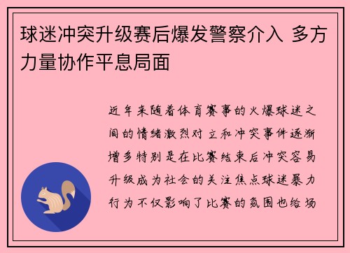 球迷冲突升级赛后爆发警察介入 多方力量协作平息局面